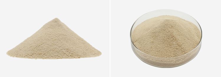 Hydroxytyrosol Powder 2