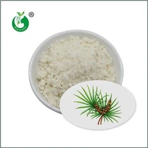 Saw Palmetto -uutejauhe
