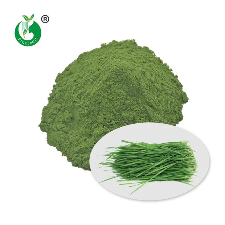 Wheat Grass Juice Powder