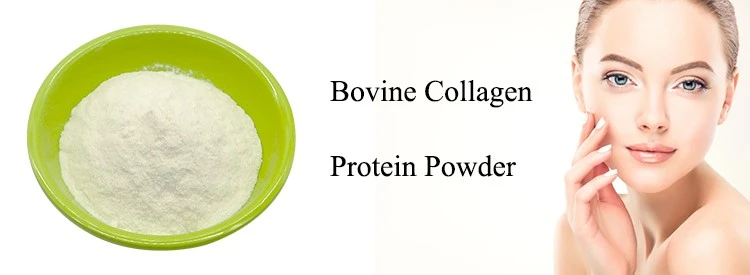 Bovine Collagen Bovine Collagen