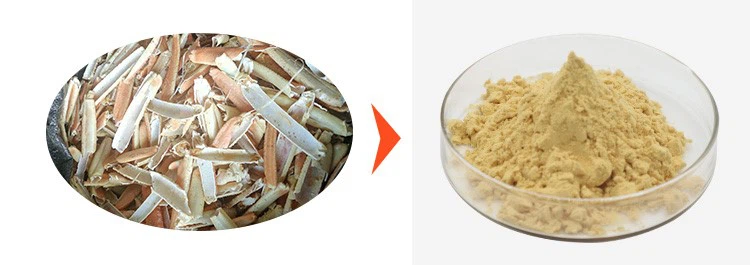Chitosan Oligosaccharide 2 Chitosan Oligosaccharide 2