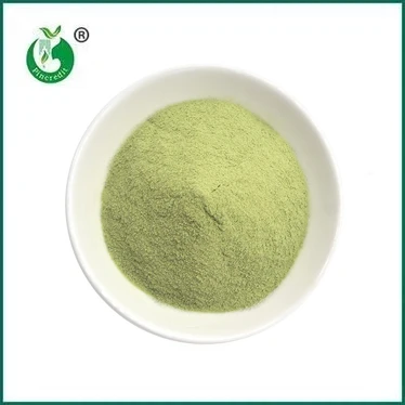 UUTUUS: Matcha Latte Powder
