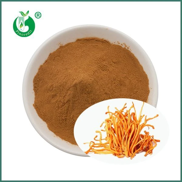 Cordyceps Militaris -uutejauhe