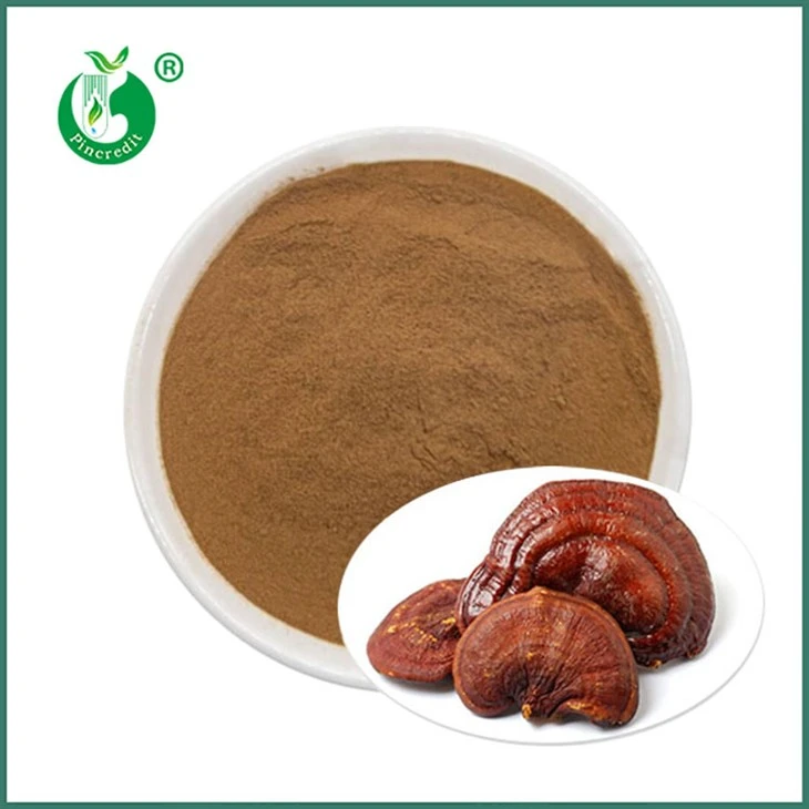 Reishi uutejauhe