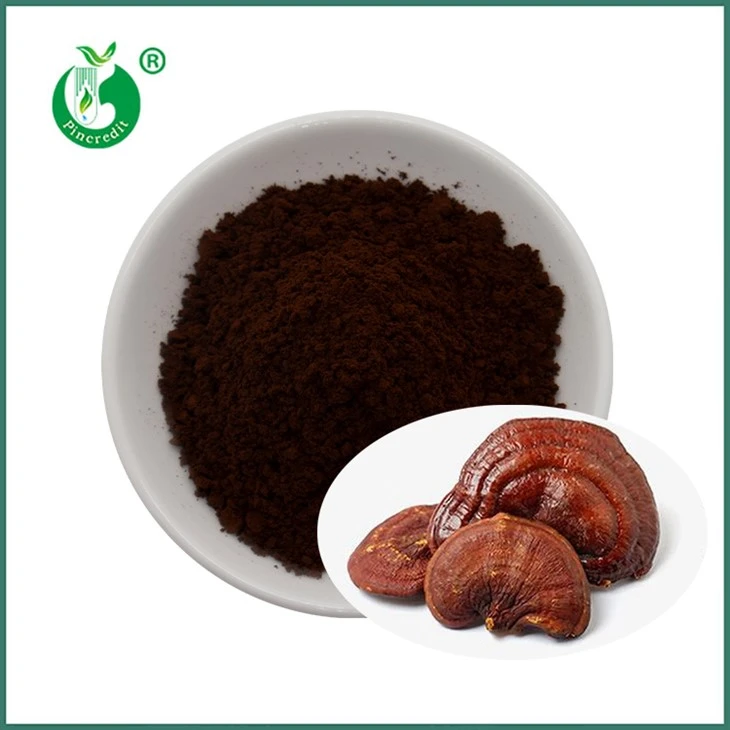 Reishi -itiöjauhe