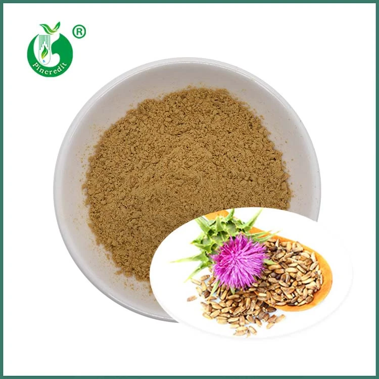 Milk Thistle Seed Uute Silymarin Silybiinit