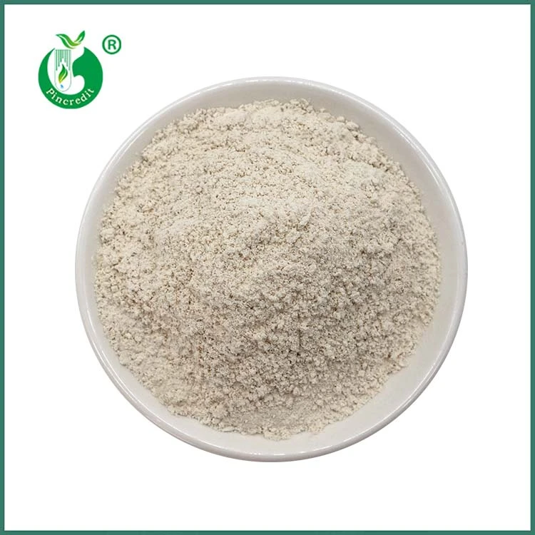 Trans Resveratrol -jauhe